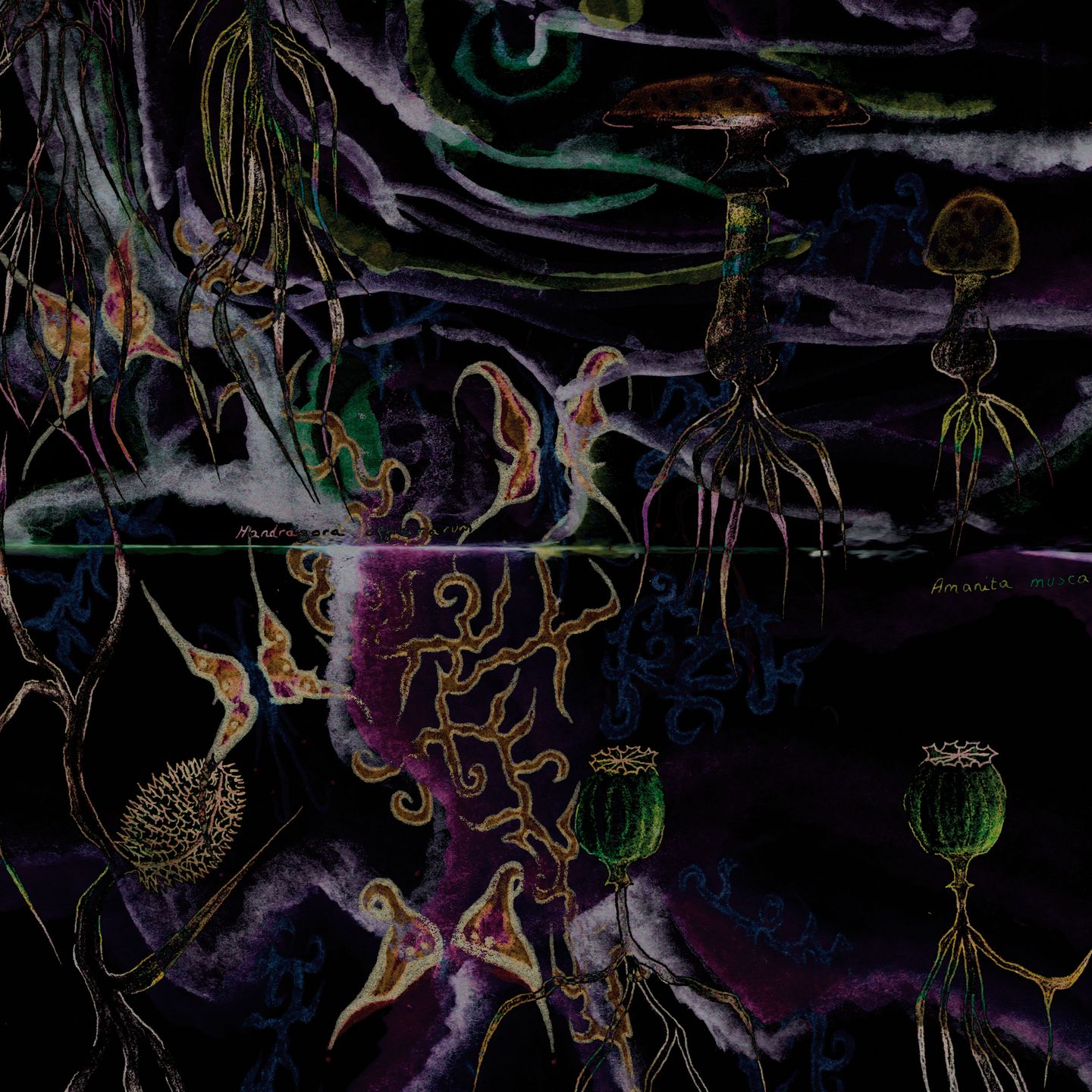 GNMR - I Love You EP | Animals On Psychedelics (AOP011)