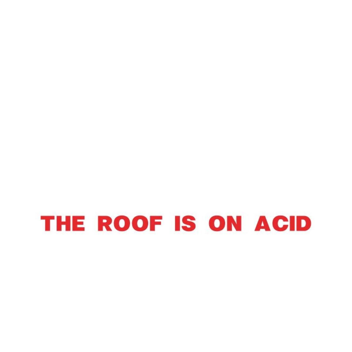 Andrea Merea - The Roof Is On Acid | THE ROOF IS ON ACID (THE-ROOF-IS-ON-ACID) - 2