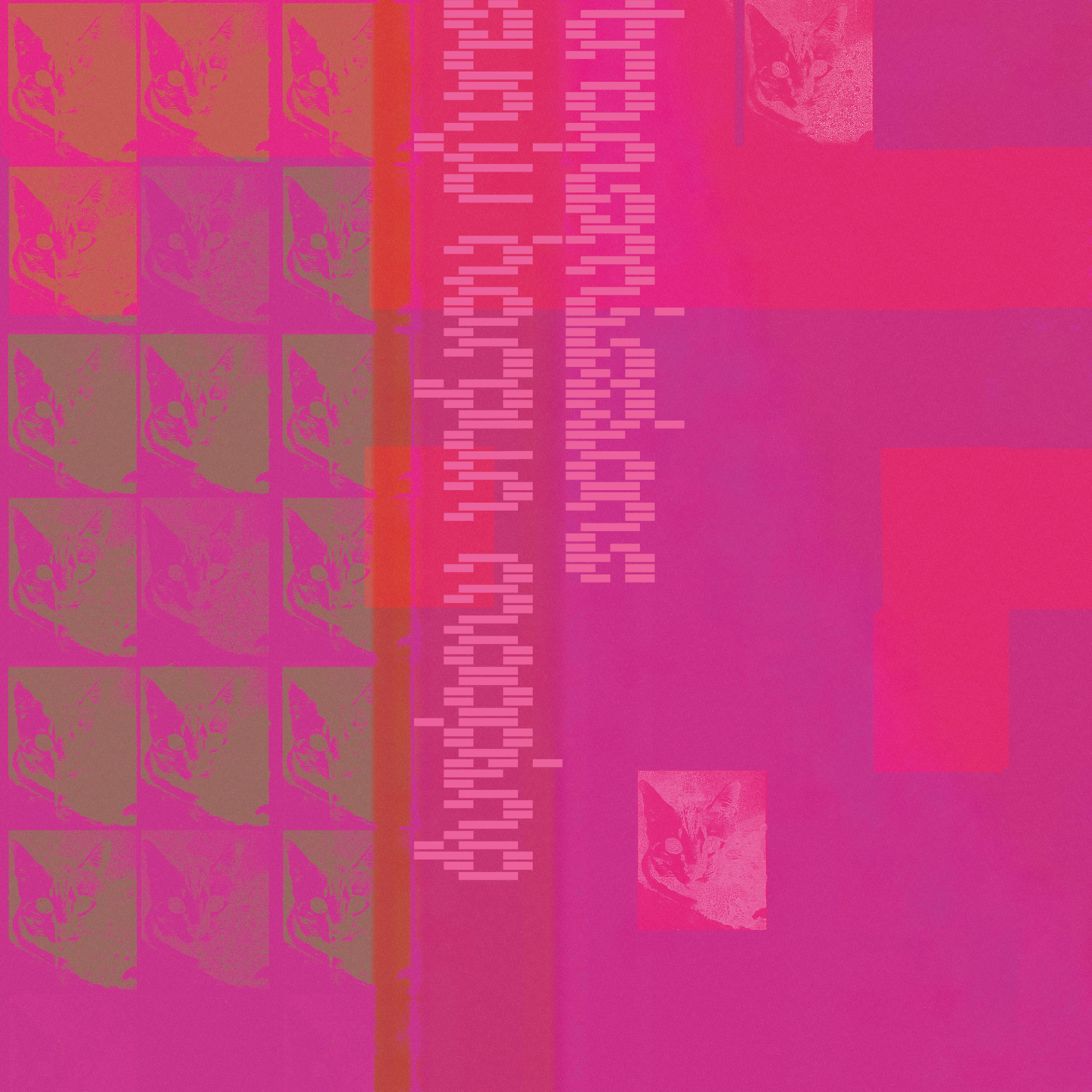 Sunju Hargun - Mooping | Transmissions (TSM001)