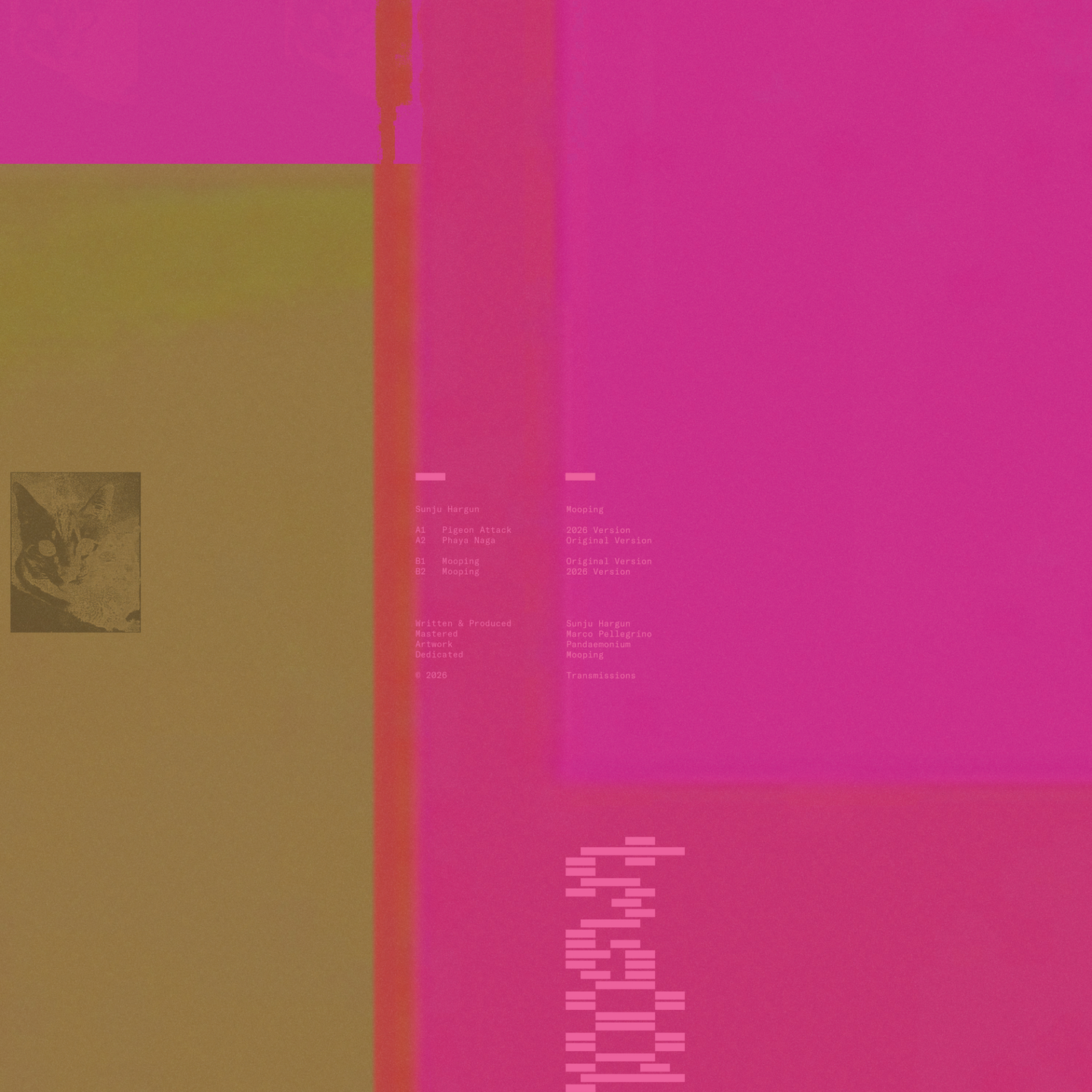 Sunju Hargun - Mooping | Transmissions (TSM001) - 2
