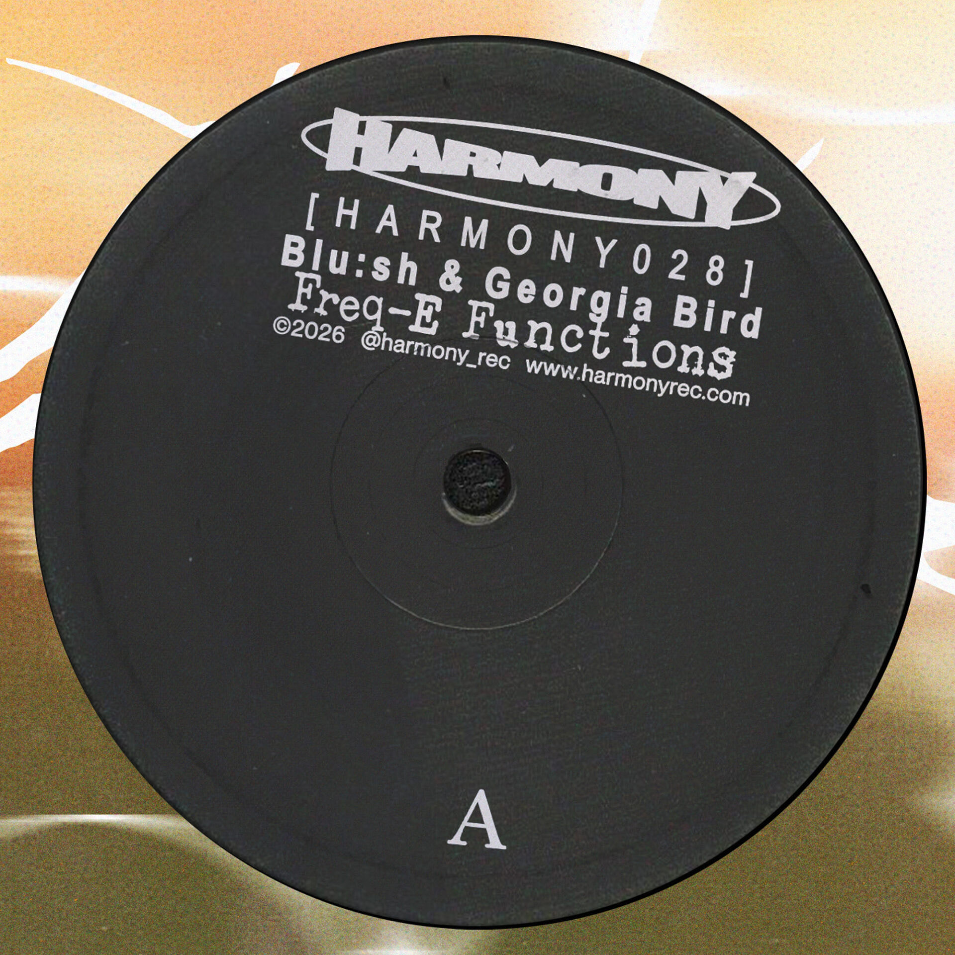 Blu:sh  &  Georgia Bird - Freq-E Functions | Harmony Rec. (HARMONY028) - 3