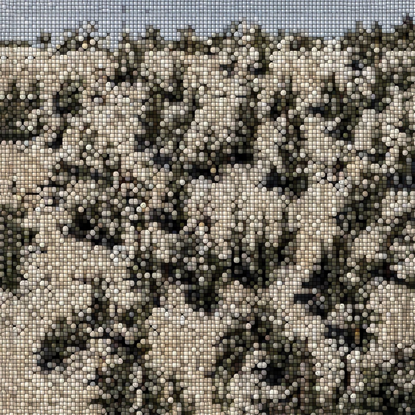 Gregory Uhlmann - Extra Stars | International Anthem Recording Company (IARC0107) - main