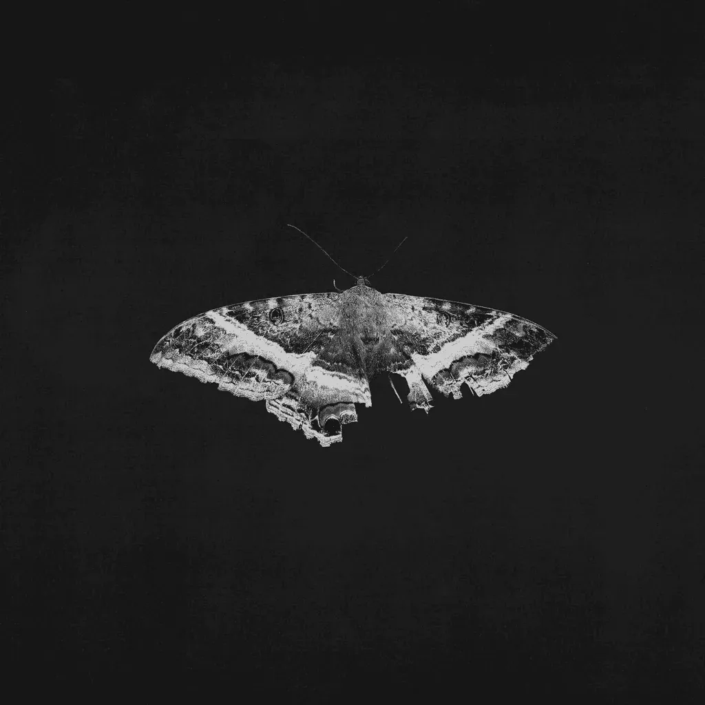 Kendrick Lamar - To Pimp A Butterfly (10th Anniversary) | Top Dawg Entertainment (602478091179) Kendrick Lamar - To Pimp A Butterfly (10th Anniversary) | Top Dawg Entertainment (602478091179)