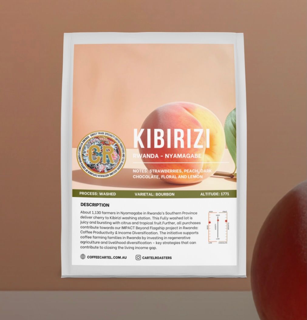 JOT - CARTEL - Rwanda – Kibirizi – Nyamagabe – Washed Process - main JOT - CARTEL - Rwanda – Kibirizi – Nyamagabe – Washed Process - main