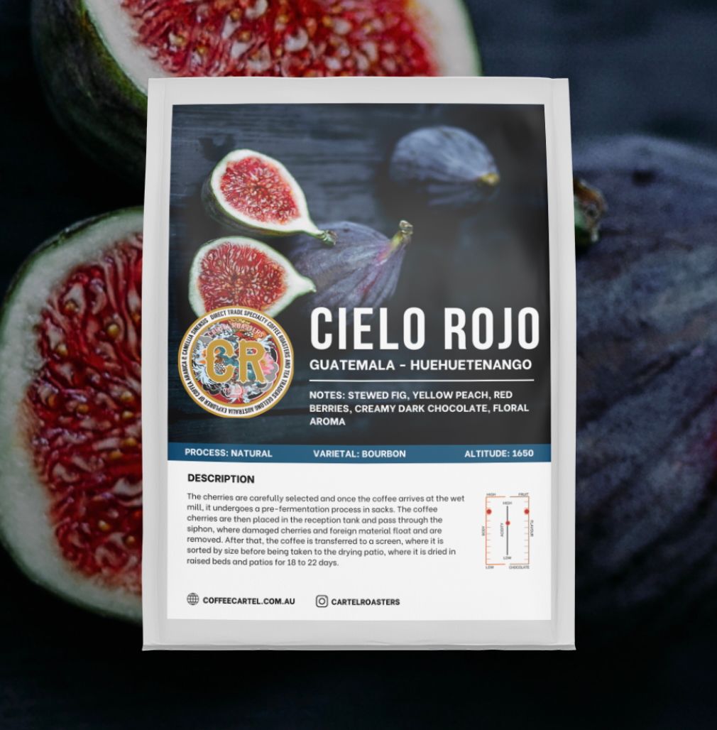 JOT - CARTEL - GUATEMALA – Cielo Rojo – Huehuetenango – Natural Process - Guatemala - main JOT - CARTEL - GUATEMALA – Cielo Rojo – Huehuetenango – Natural Process - Guatemala - main