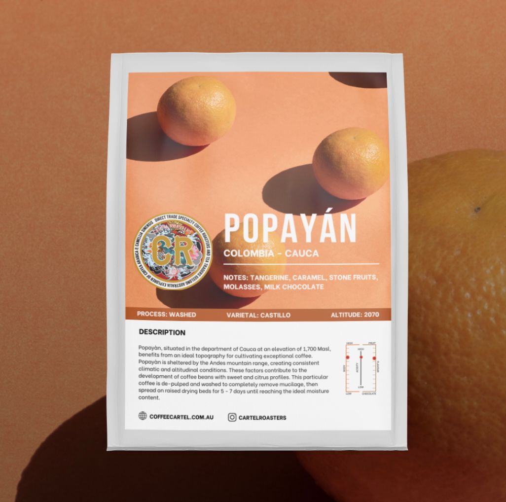 JOT - CARTEL - Colombia – Popayan – Cauca – Washed Process - Colombia - main JOT - CARTEL - Colombia – Popayan – Cauca – Washed Process - Colombia - main