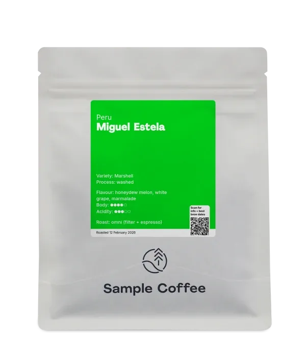 JOT - SAMPLE - Miguel Estela  Cajamarca, Peru · Washed Marshell