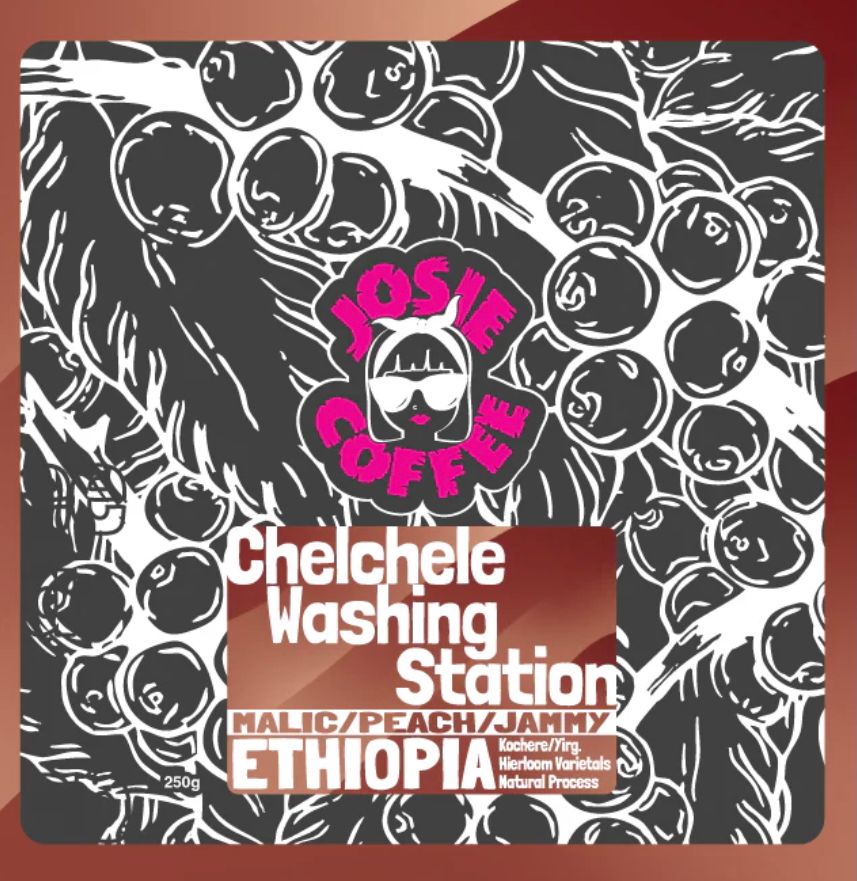 JOT - JOSIE - Ethiopia - Chelchele Washing Station - Natural Process - main JOT - JOSIE - Ethiopia - Chelchele Washing Station - Natural Process - main