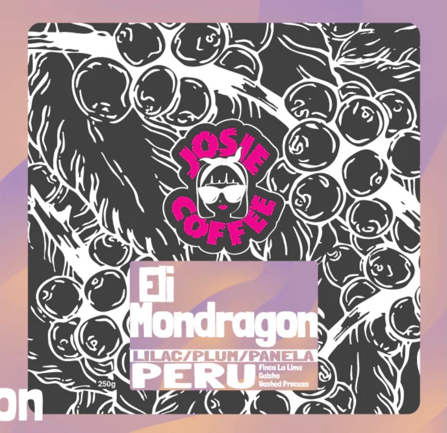 JOT - JOSIE - Peru - Eli Mondragon - Finca La Lima - Geisha - Washed Process - main JOT - JOSIE - Peru - Eli Mondragon - Finca La Lima - Geisha - Washed Process - main