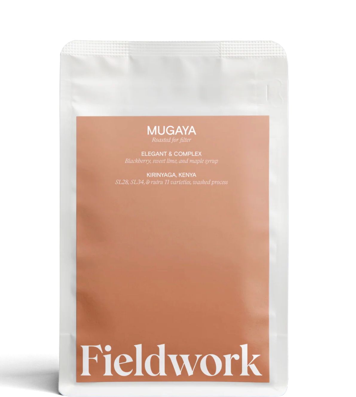JOT - FIELDWORK - Washed Process - Kenya Mugaya JOT - FIELDWORK - Washed Process - Kenya Mugaya
