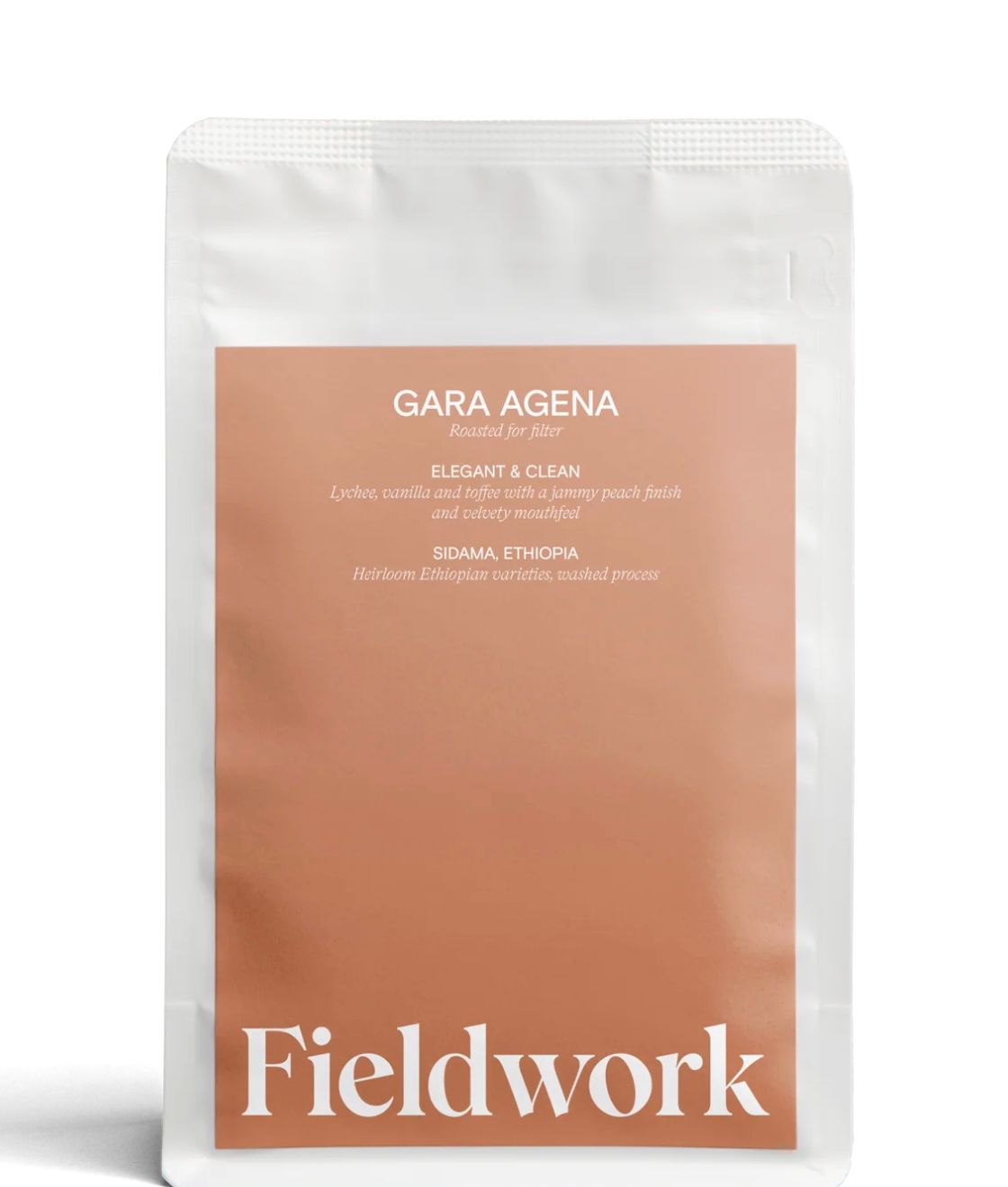 JOT - FIELDWORK - Washed Process - Sidama, Ethiopia Gara Agena - main JOT - FIELDWORK - Washed Process - Sidama, Ethiopia Gara Agena - main