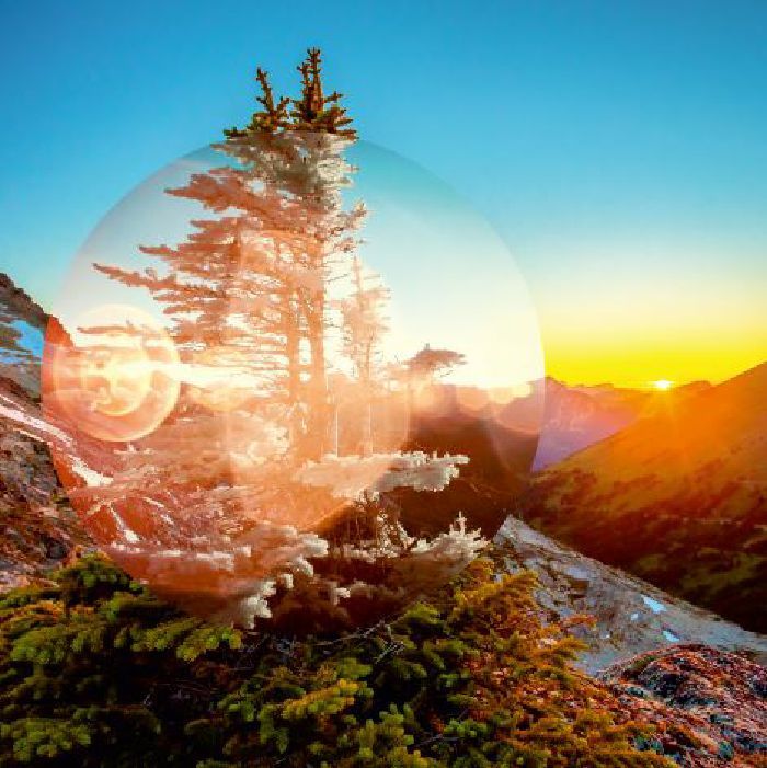 Teielte - Magnetic Soul/Magnetic Tree | Father And Son Records And Tapes (FASRAT011)