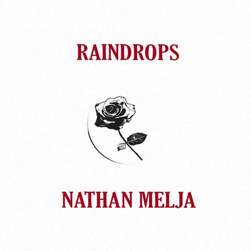 Nathan Melja - Raindrops | Dream Real (DR002) - main