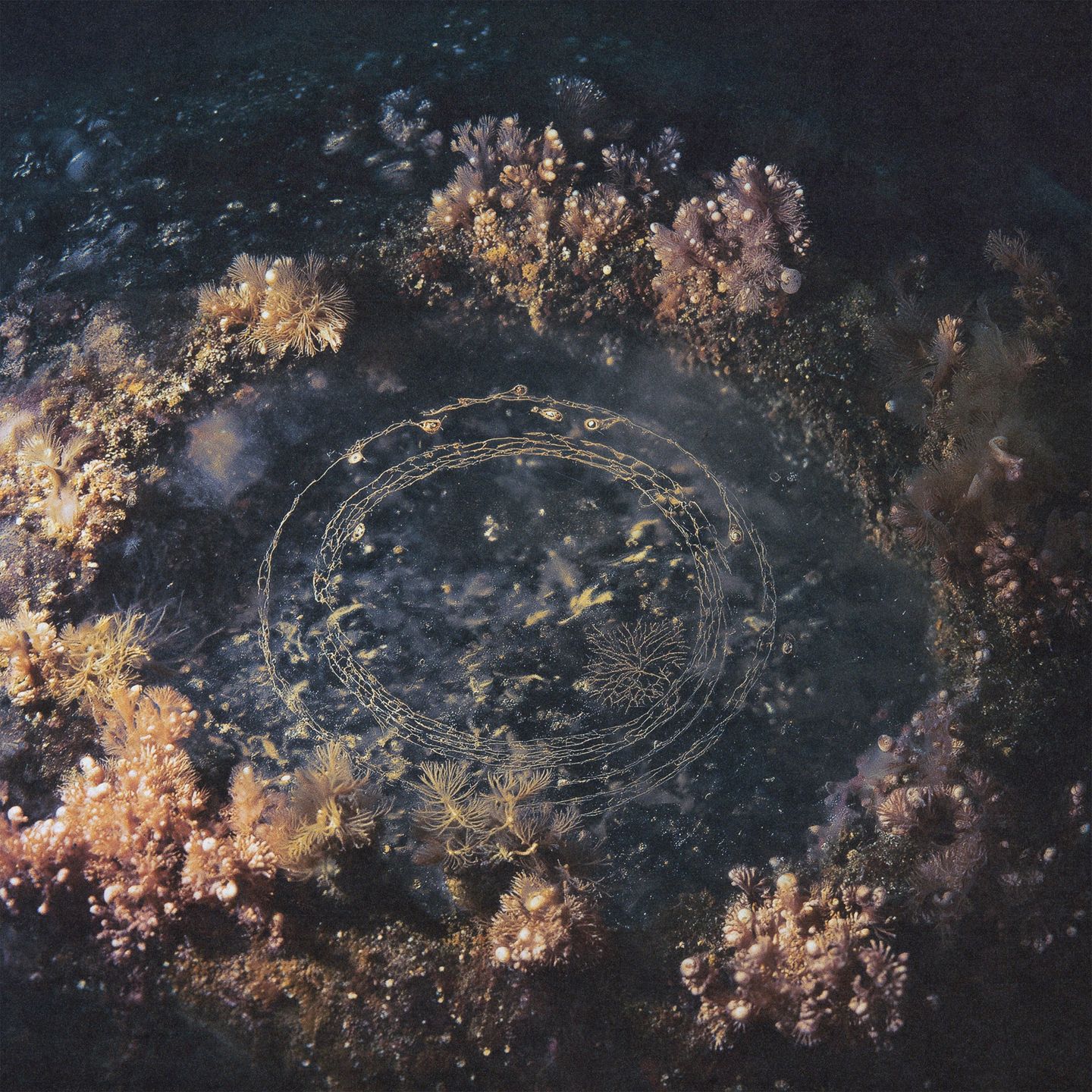 Joline Scheffler - VESICA PISCIS | EXEKUTE (EXE-2) - main