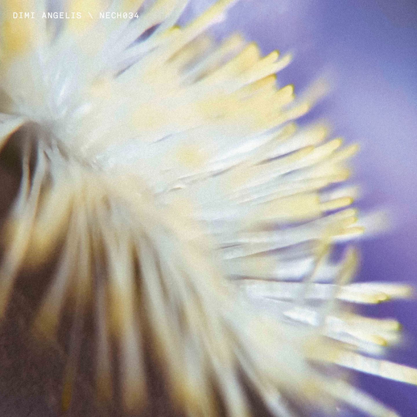 Dimi Angélis - NECH034 | NECHTO (NECH034) - main