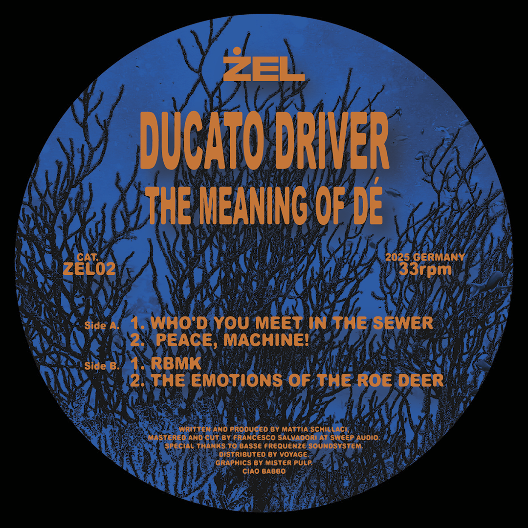 Ducato Driver - The Meaning of Dé (ZEL02) | Zel (ZEL02) - main