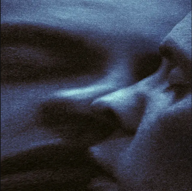 Puma Blue - Croak Dream | Pias (PIASR1623LP) Puma Blue - Croak Dream | Pias (PIASR1623LP)