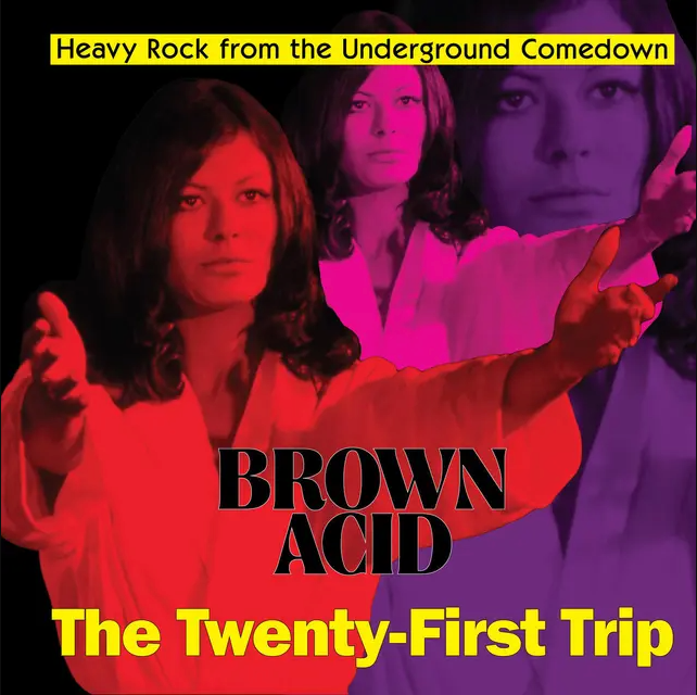 Various - Brown Acid: The Twenty First Trip (Heavy Rock From The Underground Comedown) | RidingEasy Records (EZRDR-214) - main