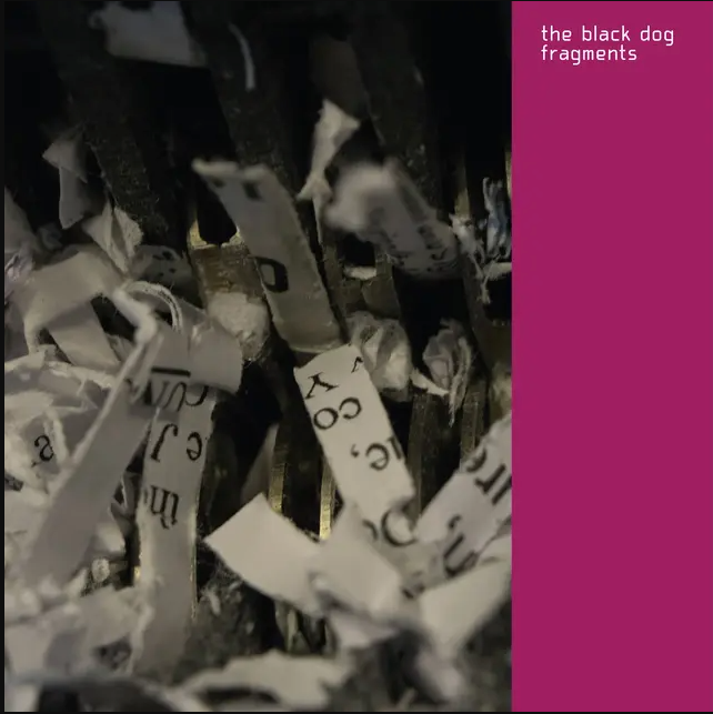 The Black Dog - Fragments (Remastered) | Dust Science Recordings (Dustv134) - main The Black Dog - Fragments (Remastered) | Dust Science Recordings (Dustv134) - main