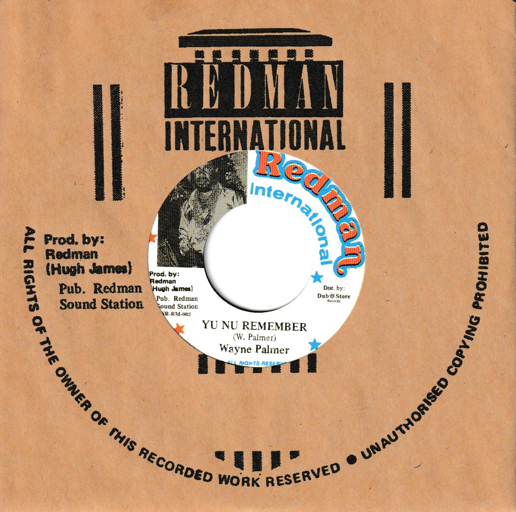 Wayne Palmer - Yu Nu Remember | Dub Store Records (DSR-RM-002)