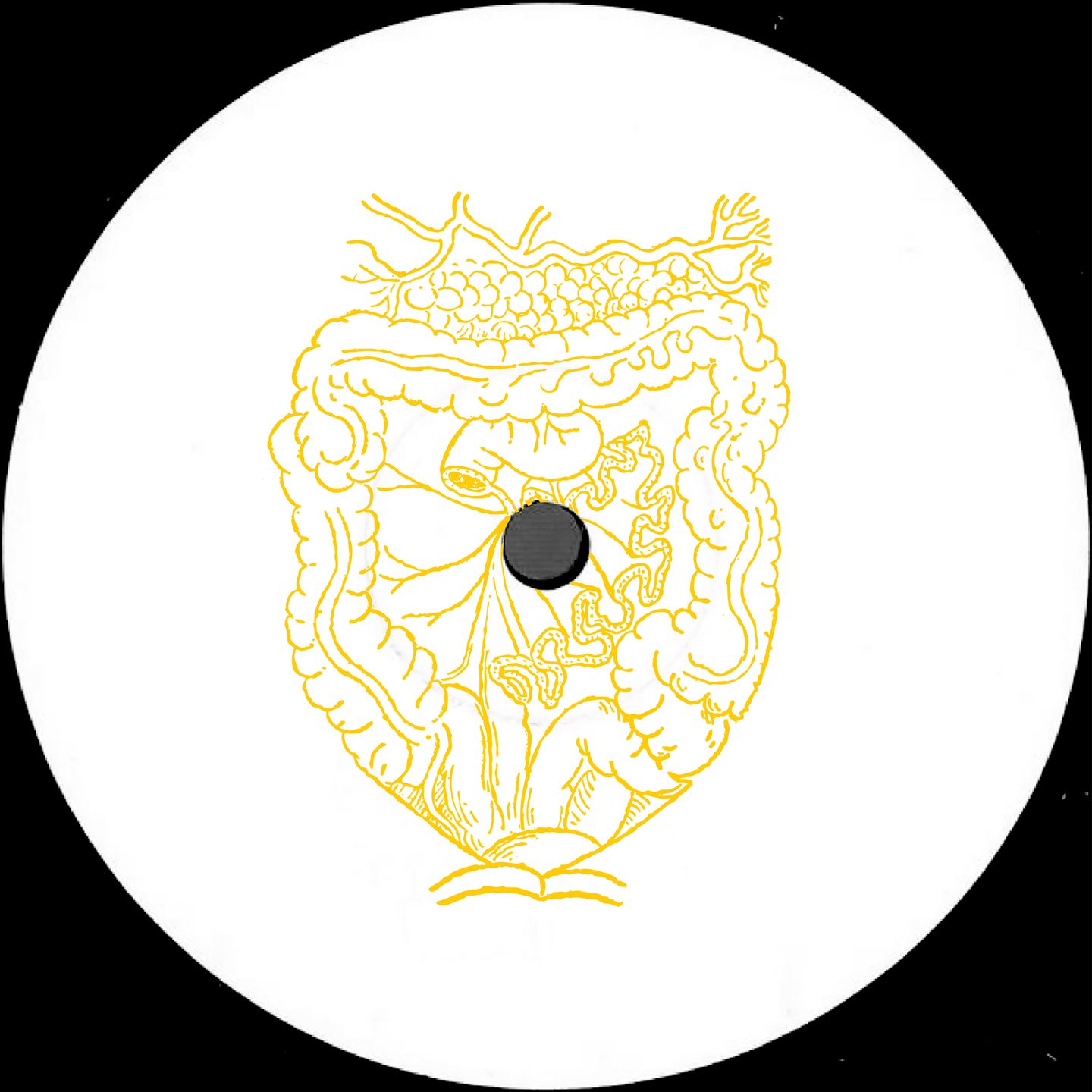 Scam Dust - Gastric Pulse | Paraíso (PARAISO018)