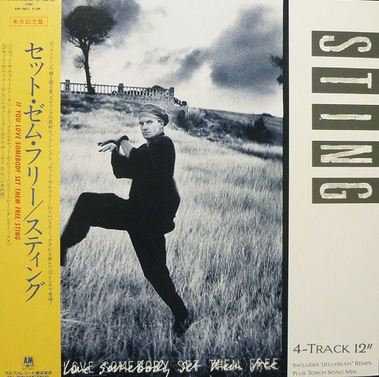 Sting - If You Love Somebody Set Them Free | A&M Records (AMP-18052)