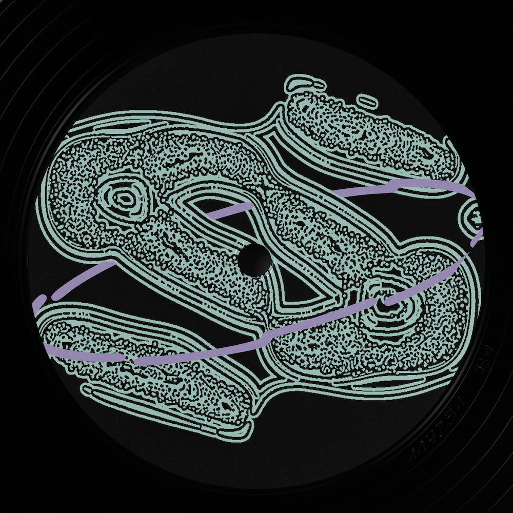 Seliga - Lush | Trance Atlantyk (ta009) - 2 Seliga - Lush | Trance Atlantyk (ta009) - 2