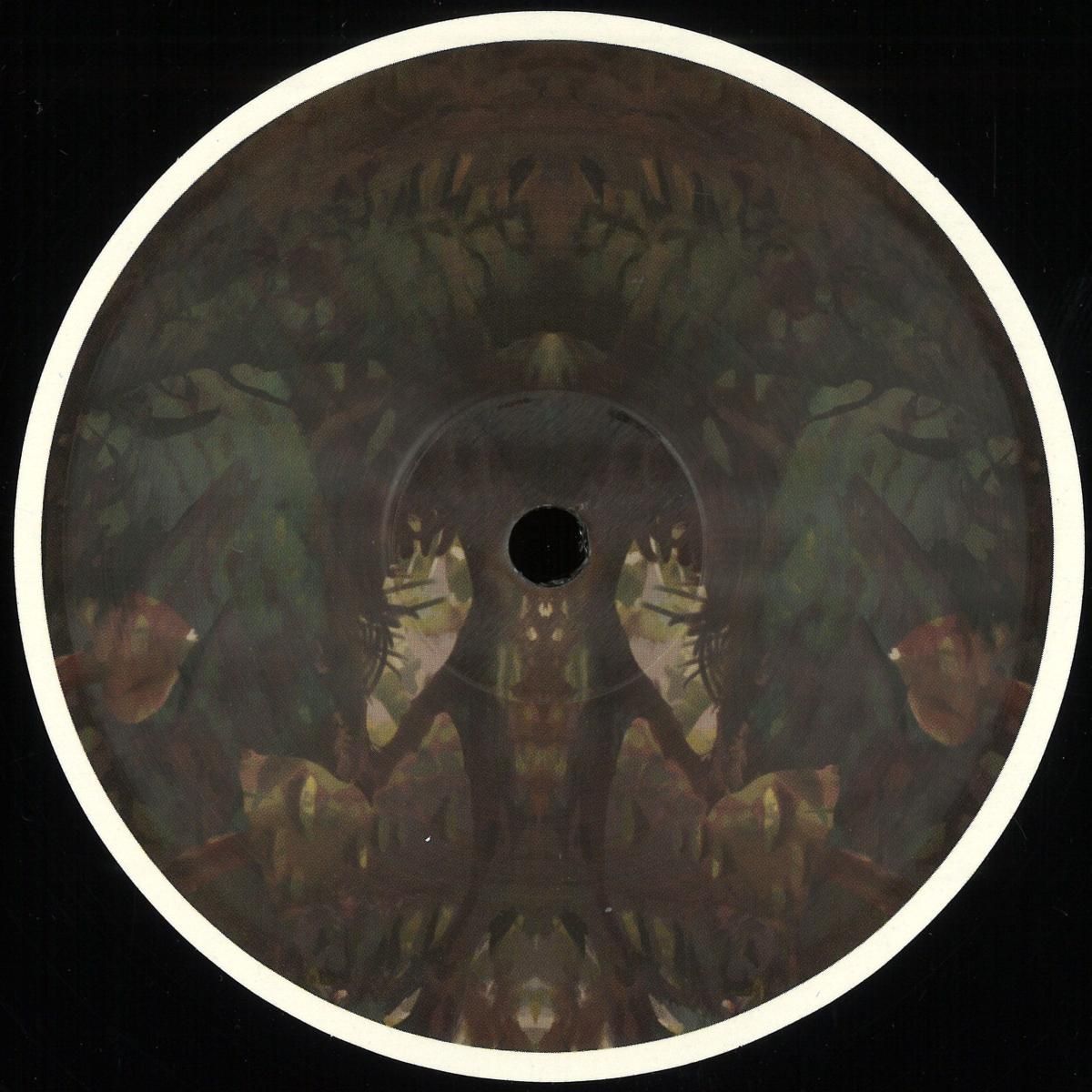 Birds ov Paradise - Bayou | Hypnus Records (HYPNUS020A) Birds ov Paradise - Bayou | Hypnus Records (HYPNUS020A)