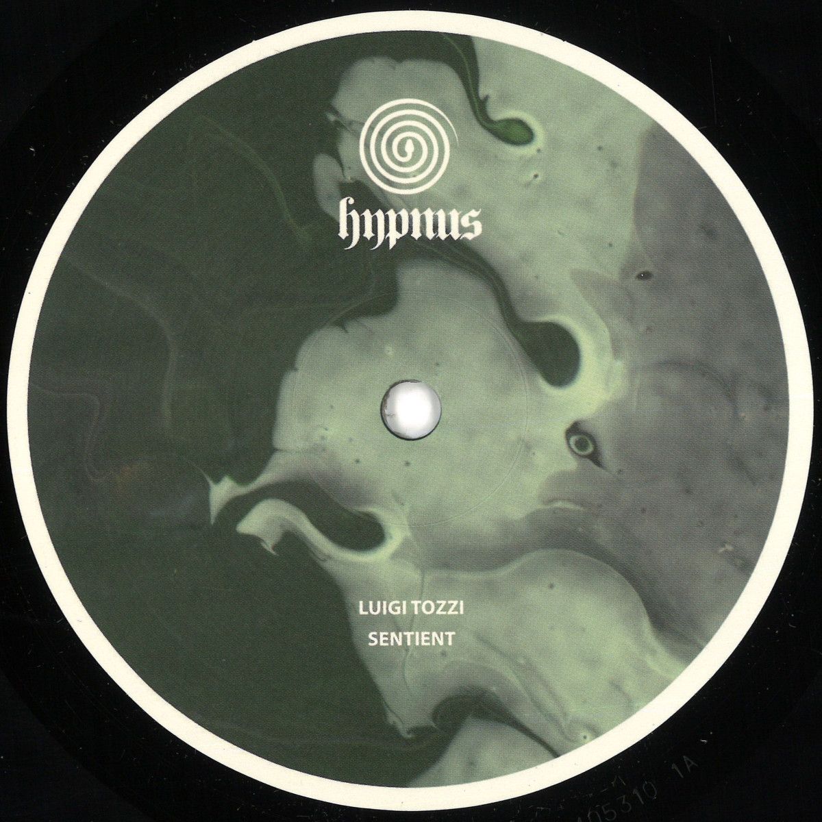Luigi Tozzi - Sentient | Hypnus Records (HYPNUS043RP)