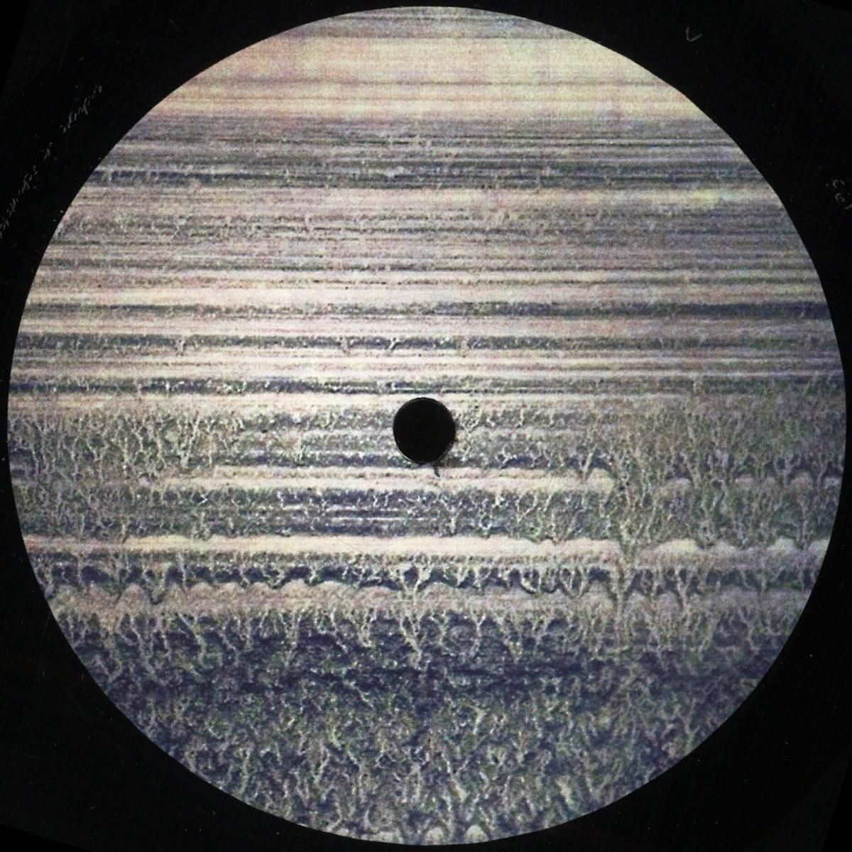 RIBE - SERÁ | Semantica Records (SEMANTICA193) - main