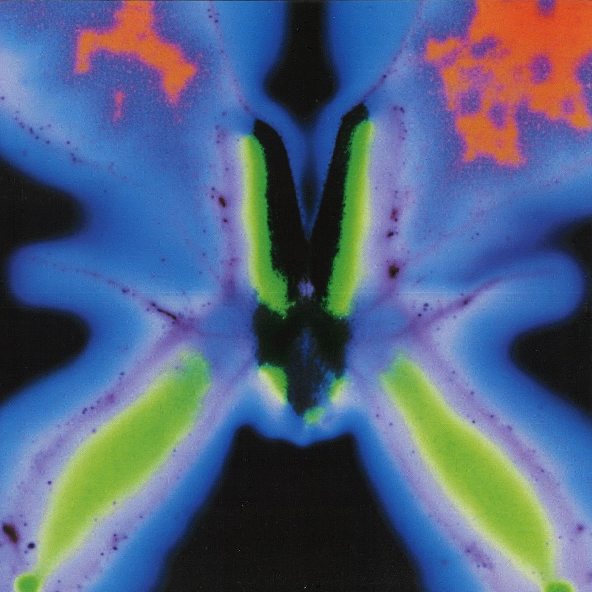 Jorg Kuning - Elvers Pass | Wisdom Teeth (WSDM028)