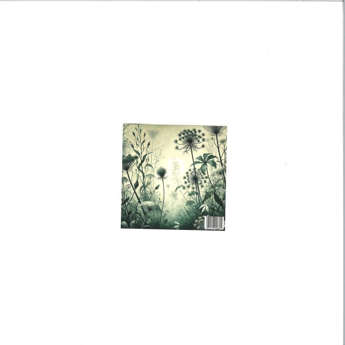 Devianza - Le Piante di Elena | Blackwater Label (BWL064) Devianza - Le Piante di Elena | Blackwater Label (BWL064)