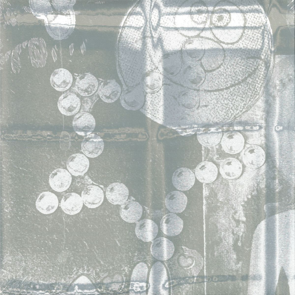 Officium - LIGHT TRAP LP | CAF? (019CAF?) Officium - LIGHT TRAP LP | CAF? (019CAF?)