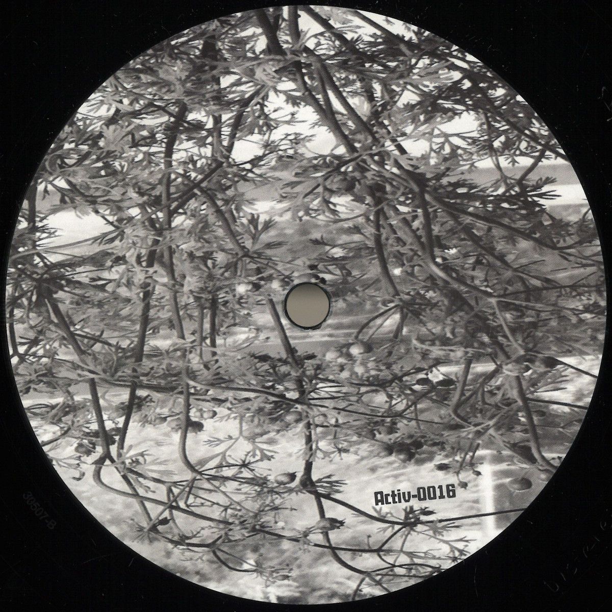 Activ-Analog - Lunar Garden | ACTIV ANALOG RECORDS (ACTIV-0016) Activ-Analog - Lunar Garden | ACTIV ANALOG RECORDS (ACTIV-0016)