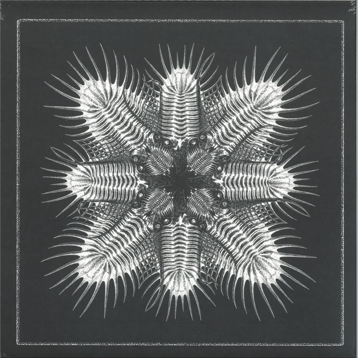 Various Artists - 10 (LP) | Aquaregia (AQR027)