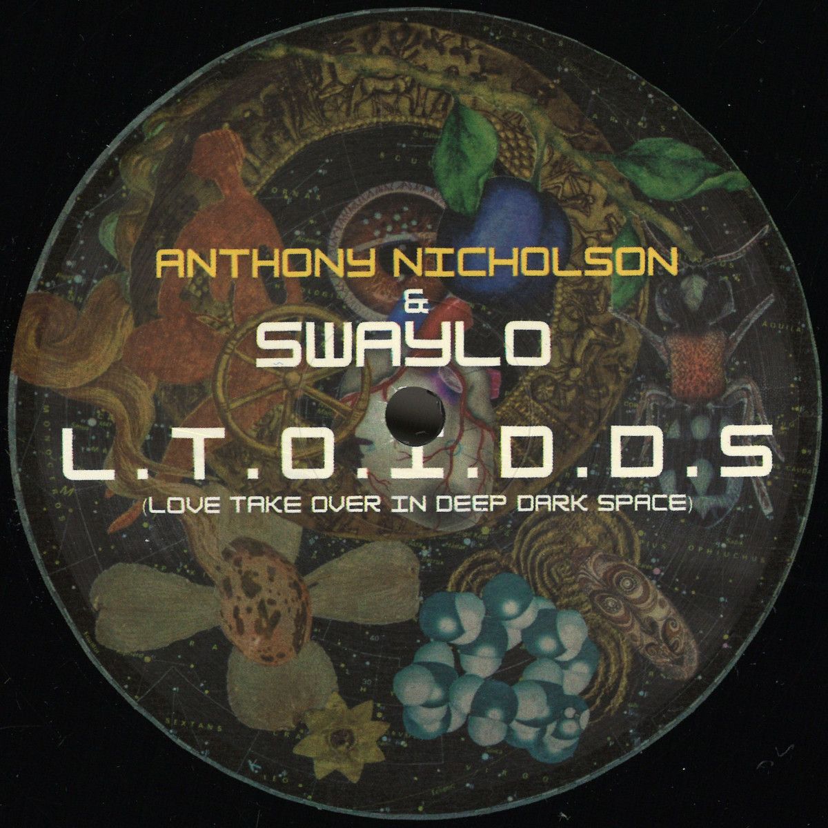 Anthony Nicholson  &  Swaylo - L.T.O.I.D.D.S (Love Take Over In Dep Dark Space) | Blak Muzik (BMV-86)