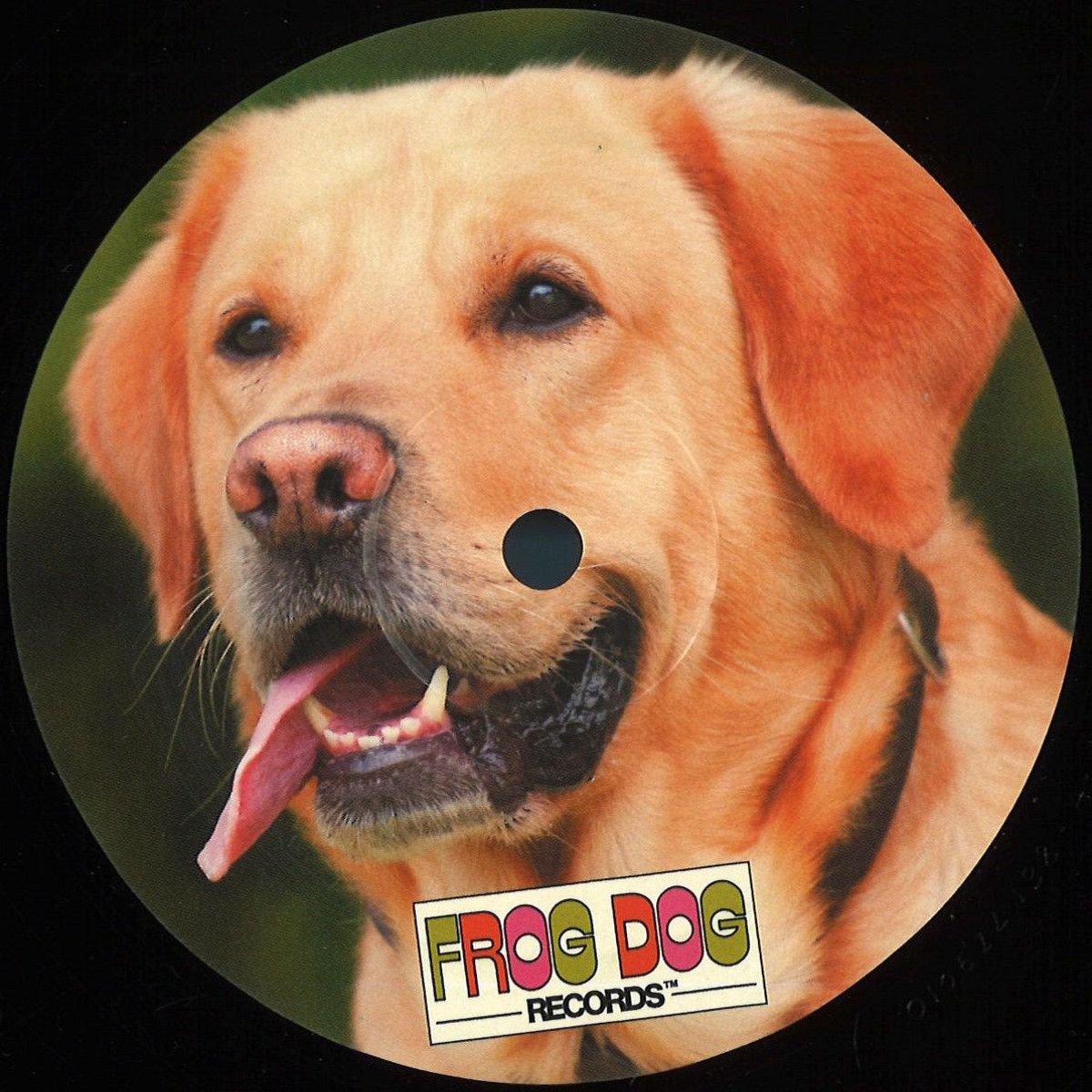 Zdon Slacks - CHIC003 | Frog Dog Records (CHIC003)