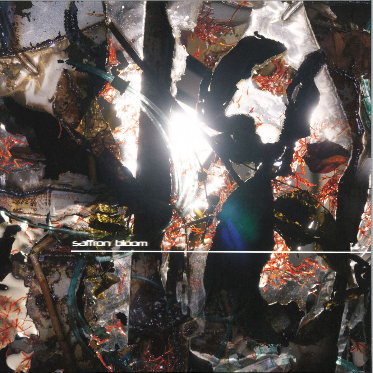 Saffron Bloom - Saffron Bloom LP | Delicate Records (DR007) Saffron Bloom - Saffron Bloom LP | Delicate Records (DR007)