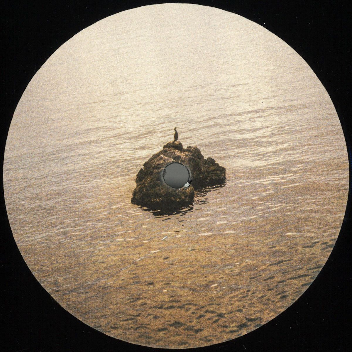 Dzc. - Conversations with Birds | fortunea (FORTUNEA032)