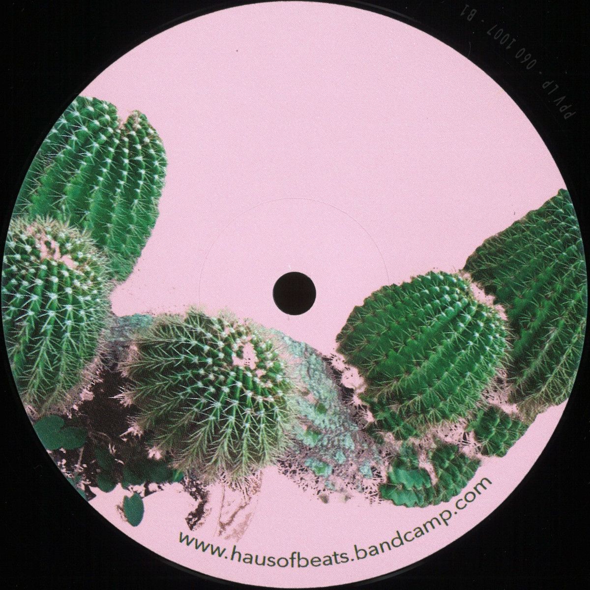 A-Tweed X Oltrefuturo - Echinopsis EP | Haus Of Beats (HOB009) A-Tweed X Oltrefuturo - Echinopsis EP | Haus Of Beats (HOB009)