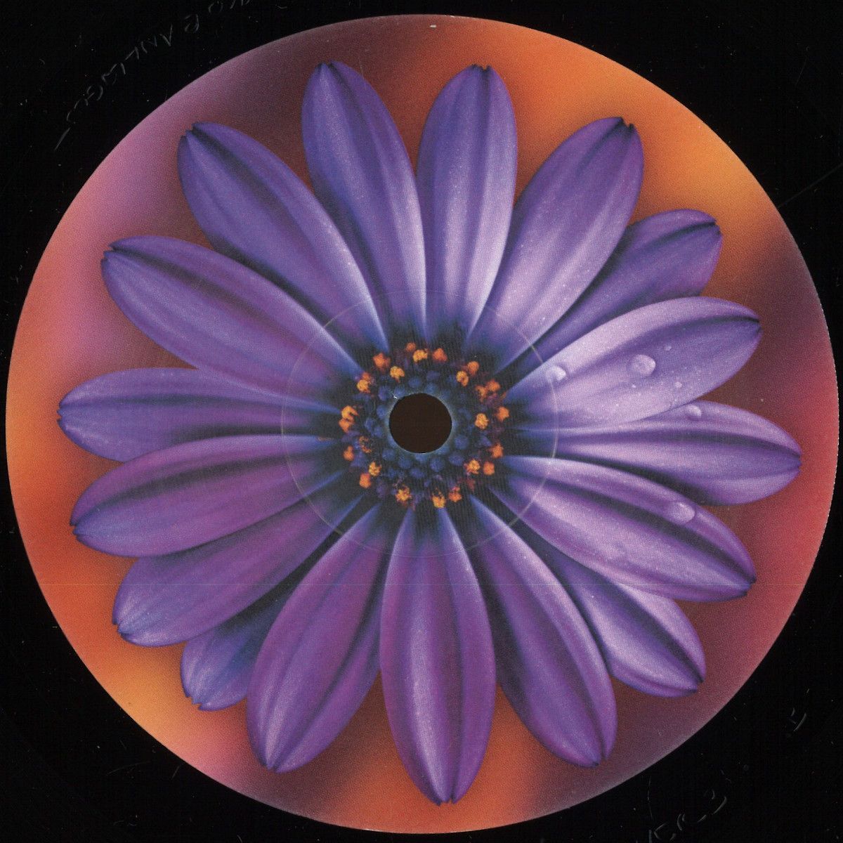 Clarence Wu - Here | HUA3000 (HUA3000) - main