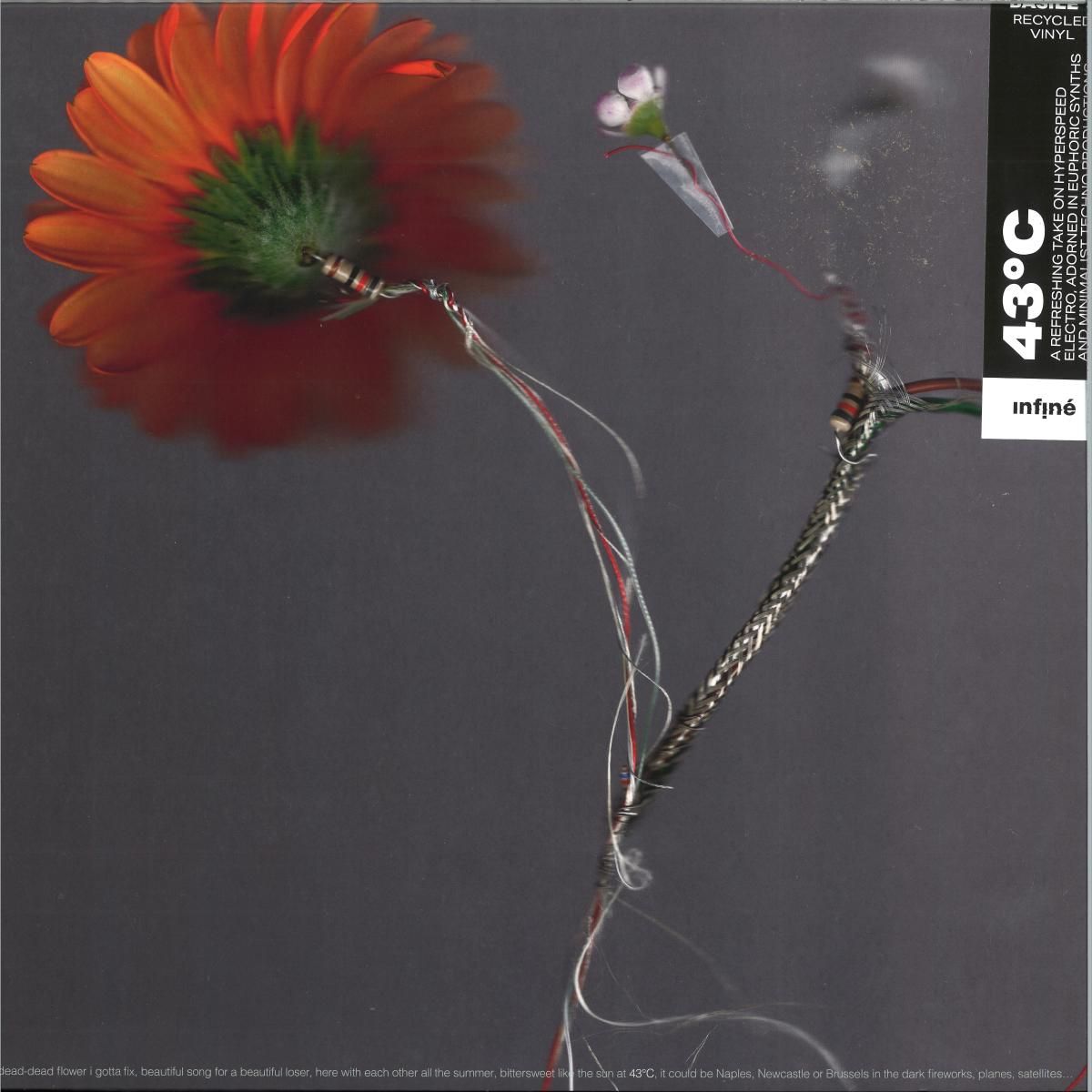 Basile3 - 43°C LP | InFiné (IF1089LP)