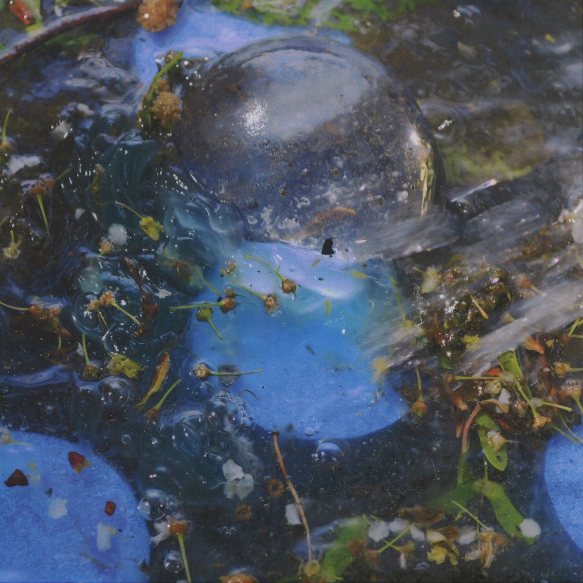 Pvas - Somaesthesia | Isla (ISLA33) - main