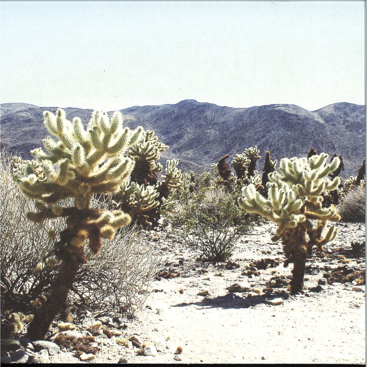 Andrea - Due In Color LP 2x12" | Ilian Tape (ITLP14)