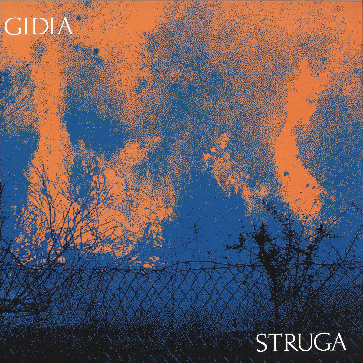 Gidia - STRUGA LP 2x12" | L.I.E.S. (LIES189)