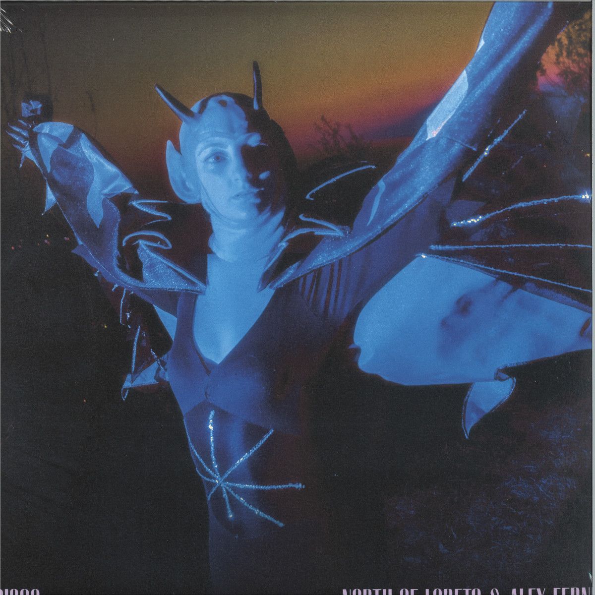 North Of Loreto  &  Alex Fernet - Disco / Diavolo Blu | Maledetta Discoteca (MD33-009)