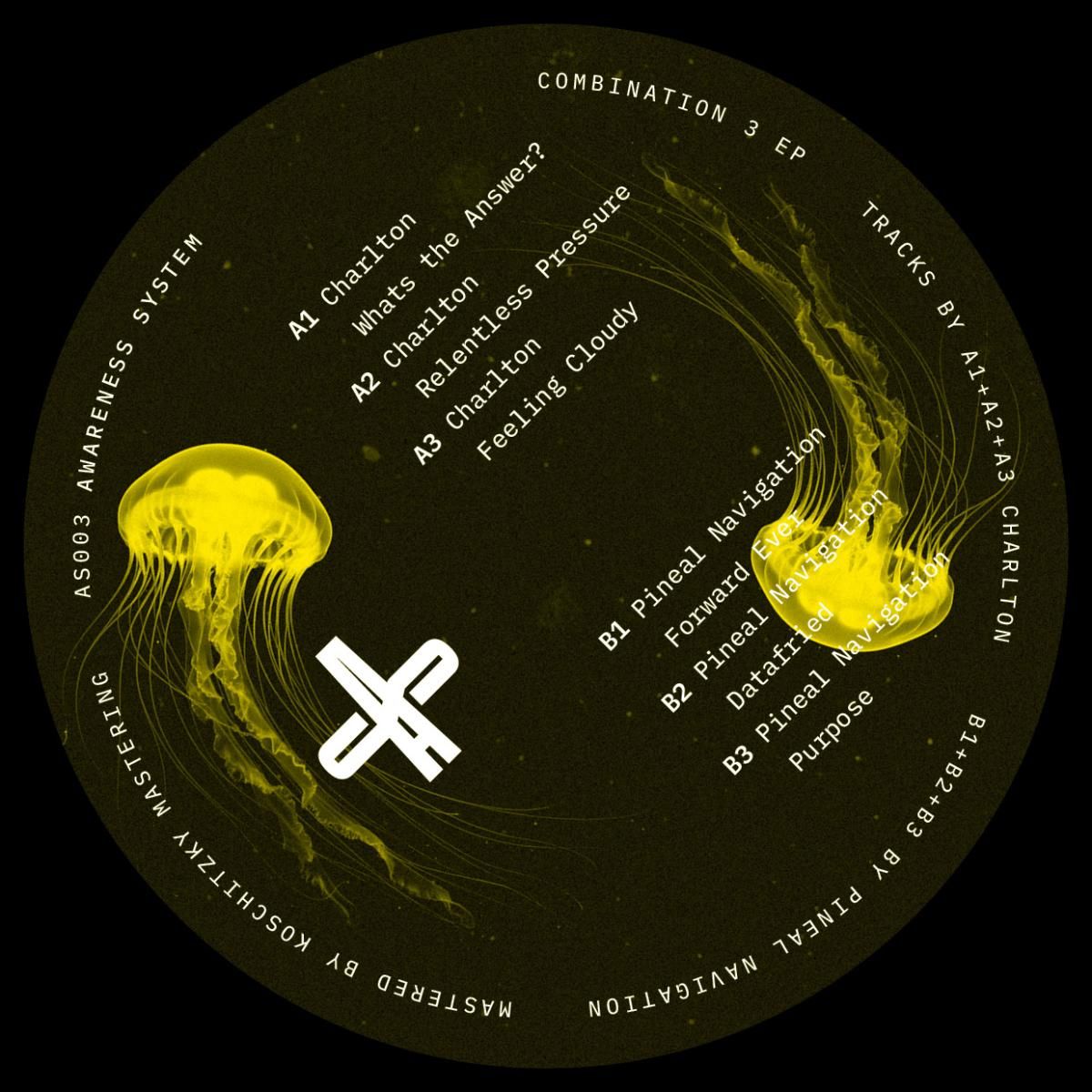 Pineal Navigation & Charlton - Combination 3 EP | Awareness System (AS003) - main Pineal Navigation & Charlton - Combination 3 EP | Awareness System (AS003) - main
