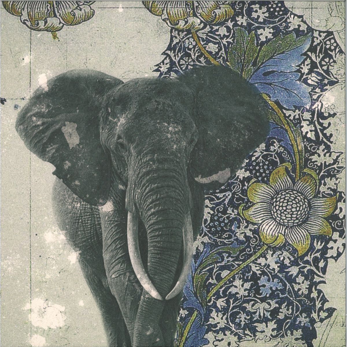 Sindaco - Spiritual Safari | New Interplanetary Melodies (NIM010)