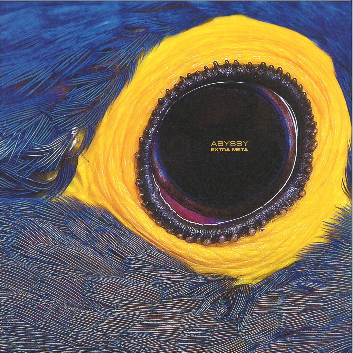 Abyssy - Extra Meta | New Interplanetary Melodies (NIM012)