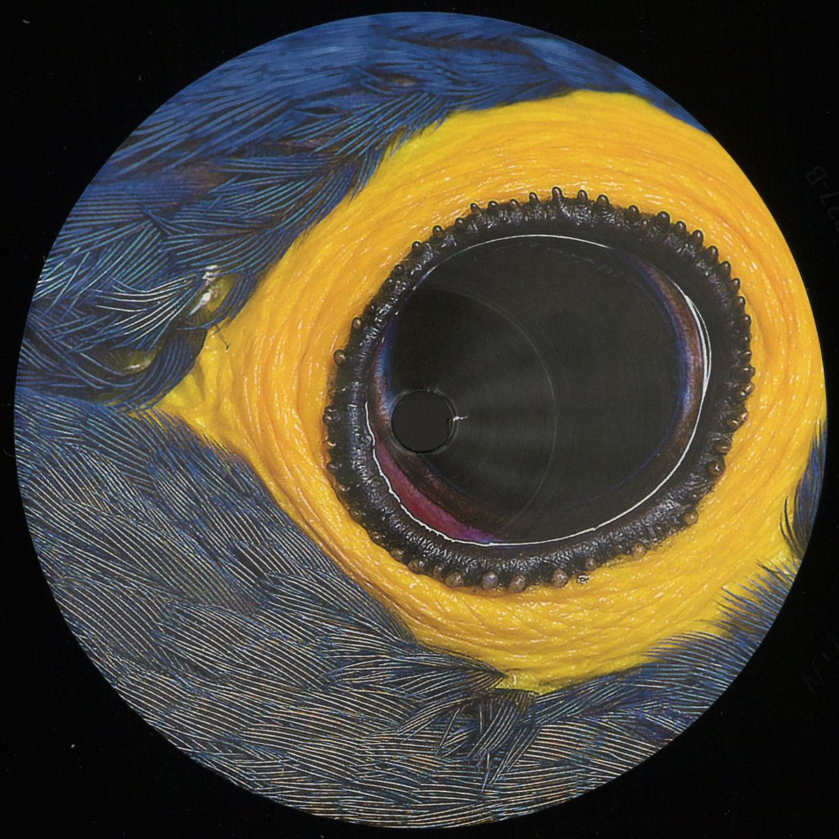 Abyssy - Extra Meta 2 | New Interplanetary Melodies (NIM013)